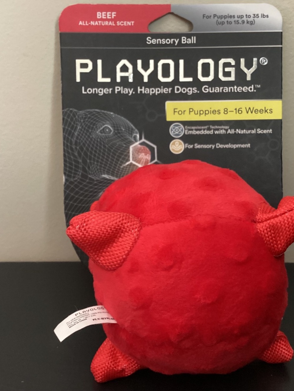 NWT PLAYOLOGY Sensory Ball Red Beef Scented Puppies up to 35lbs NEW